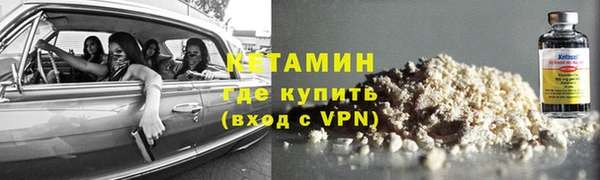 гидра Вяземский