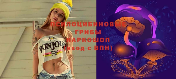 гидра Вяземский