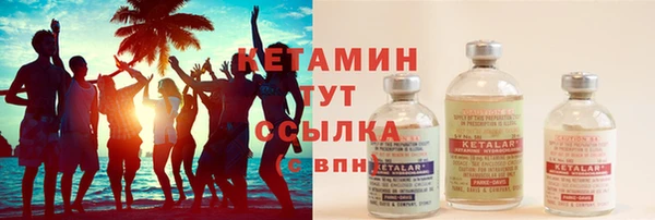 гидра Вяземский