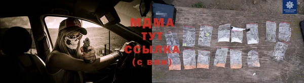 гидра Вяземский