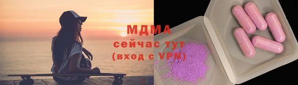 гидра Вяземский