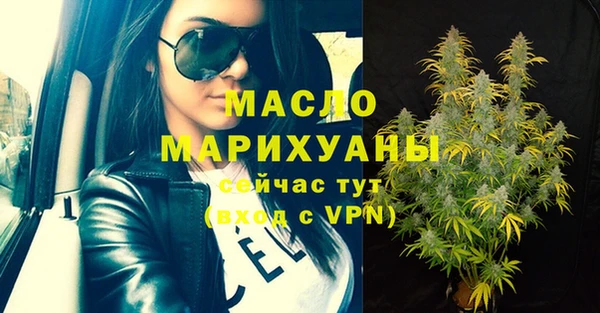 гидра Вяземский