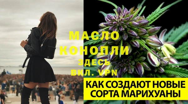 таблы Вязьма