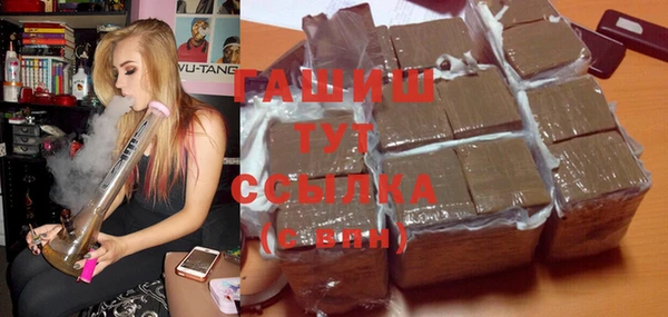 гидра Вяземский