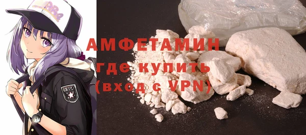 гидра Вяземский