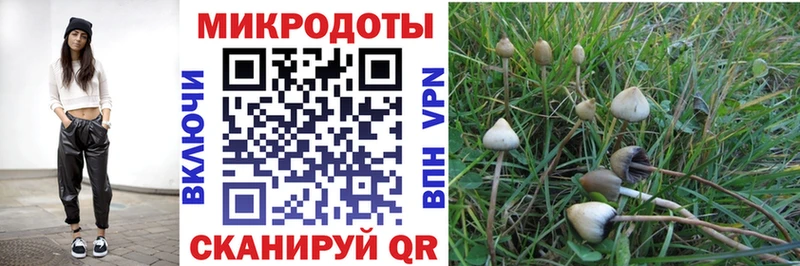 Псилоцибиновые грибы мухоморы  купить наркотики сайты  Таганрог 